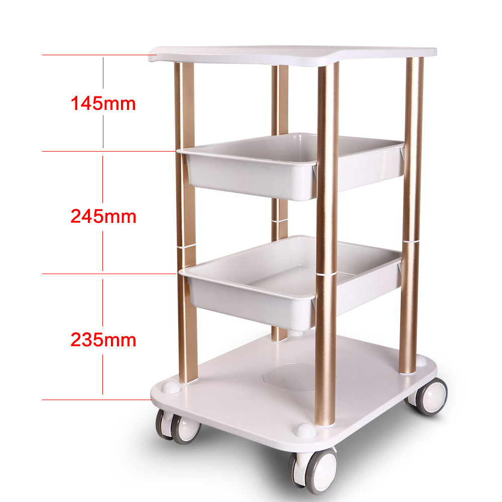 Salon SPA Trolley Stand For Cavitation Beauty Machine Instrument Rolling Cart US