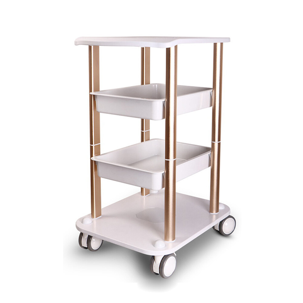 Beauty Salon Stand Rolling Cart SPA Beauty Machine Holder Trolley Organizer Rack