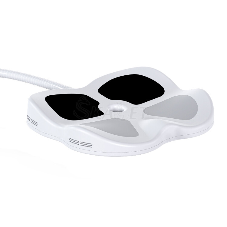 2025 Magnetic Body Fitness Activist Uses Handheld Muscle Stimulator Reduce Fat