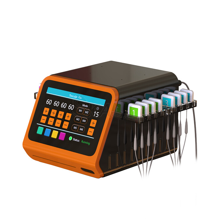 Establish a Fat Muscle Stimulator And Body Reduction Weight Loss Machine