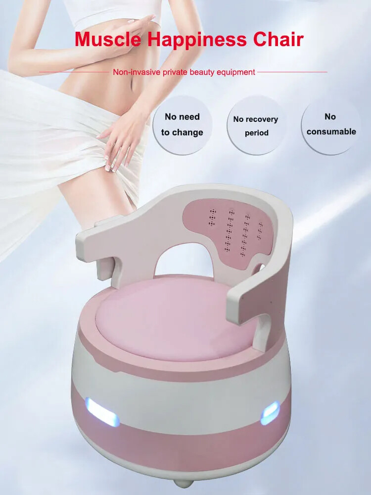 Woman Pelvic Floor Muscle Stimulator Chair Incontinence Kegel Exercise Machine