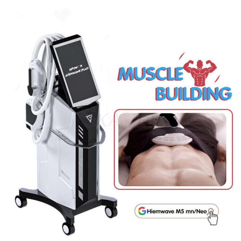 Strengthening Abdominal Abs Body Muscles and Overall Muscle Strength Fat Loss