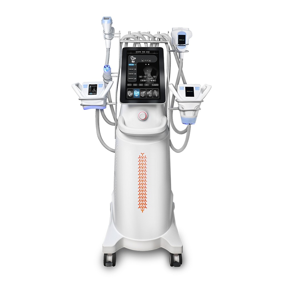 VELA Body Sculpt Machine Vacuum Rolling Weight Reduce RF Facial SKIN Tightening