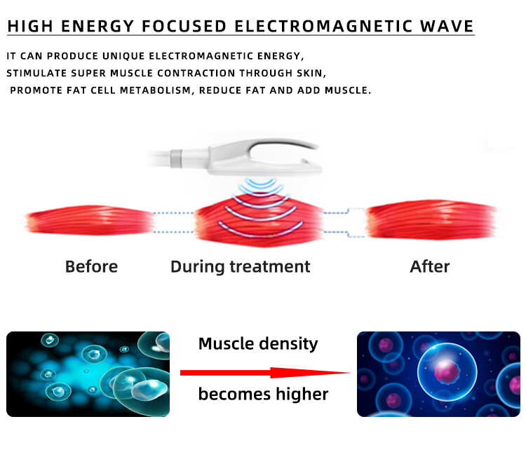 Body Fat Reduce Slimming Machine Sculpting Muscle Building Buttocks Exercises