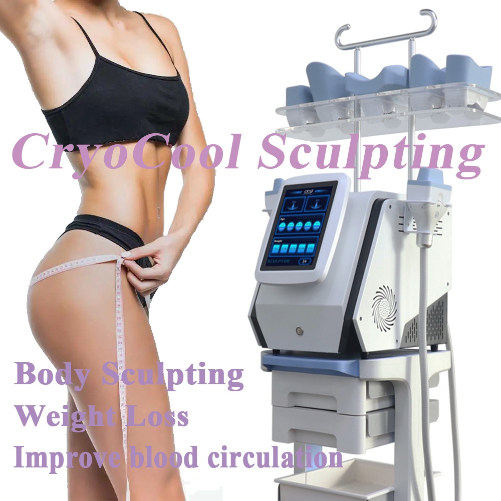 5IN1 Fat Freezing Body Slimming Therapy Lipolysis Fat Removal Sculpt Spa Machine