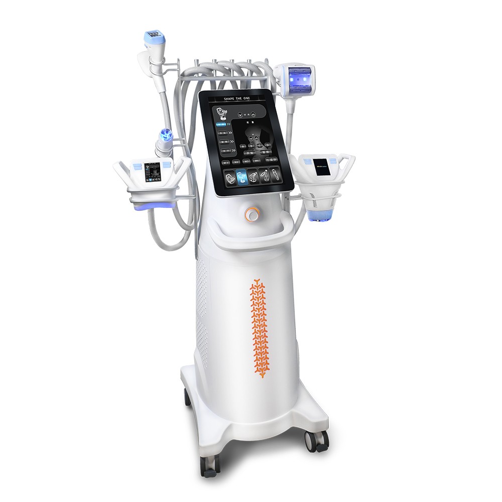 VELA Body Sculpt Machine Vacuum Rolling Weight Reduce RF Facial SKIN Tightening