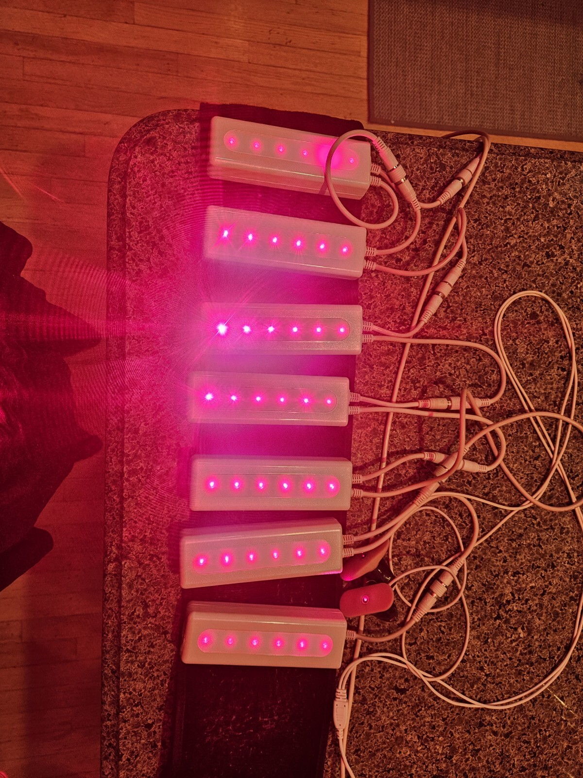 Strawberry Lipo Laser Accessories $500 Each Paddle Or $7500 For 16 Paddles