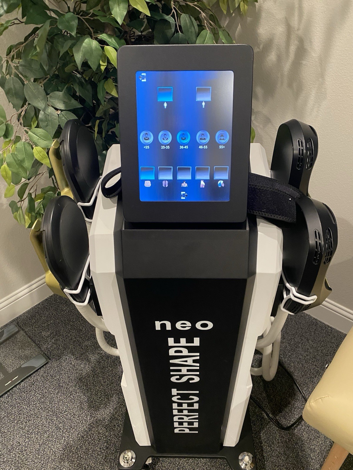 Rejuva Fresh Neo Perfect Shape Body Contouring Machine Skin Tightening