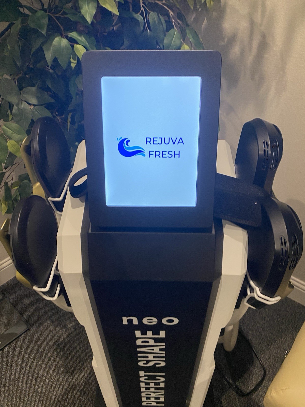 Rejuva Fresh Neo Perfect Shape Body Contouring Machine Skin Tightening