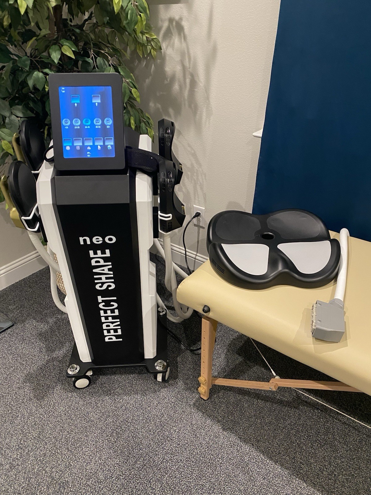 Rejuva Fresh Neo Perfect Shape Body Contouring Machine Skin Tightening