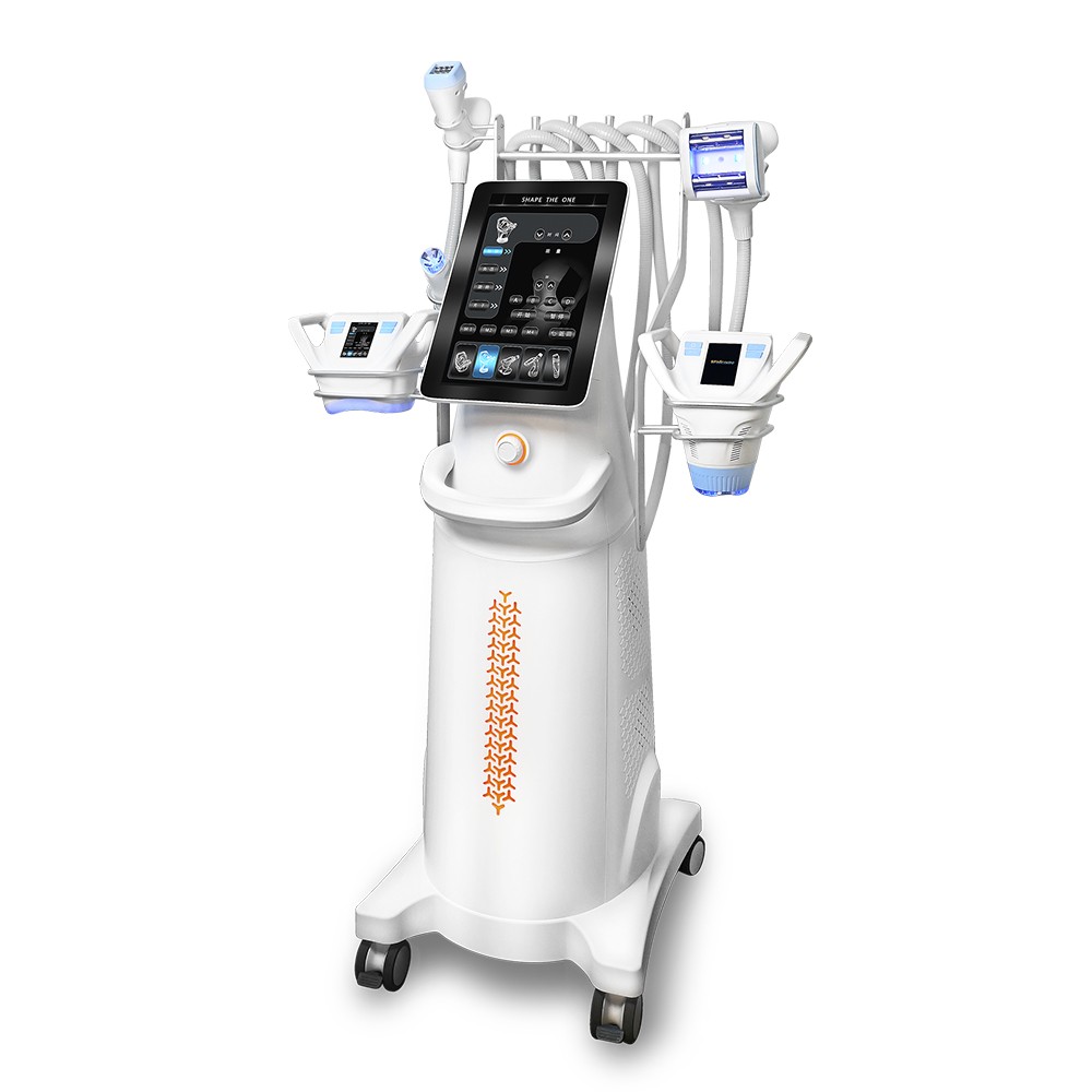 VELA Body Sculpt Machine Vacuum Rolling Weight Reduce RF Facial SKIN Tightening