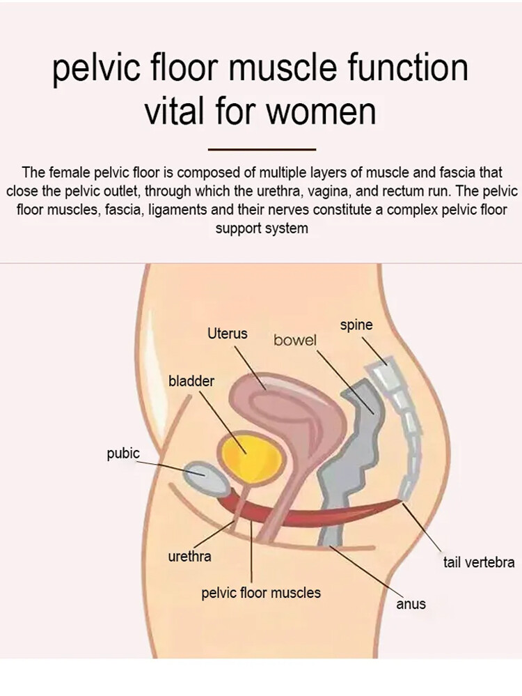 Women Postpartum Pelvic Floor Recovery Chair–Kegel Trainer for Muscle Tightening