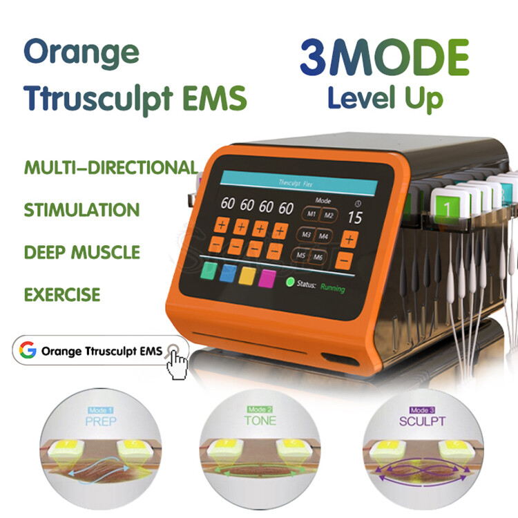 Establish a Fat Muscle Stimulator And Body Reduction Weight Loss Machine